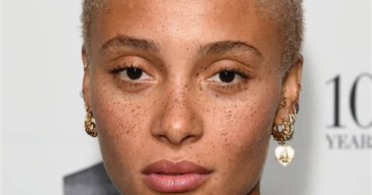Adwoa Aboah Boyfriend: Who Is the British Fashion Model’s Dating Partner?