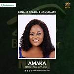 Amaka Bbnaija Biography: Wiki, Age, Height, Net Worth