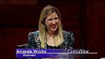Amanda Vinicky [Wttw] Wikipedia, Age, Salary, Husband, Instagram