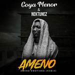 Ameno Amapiano Remix Song on Tiktok – Find the Lyrics Meaning and English Translation