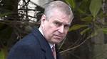 Andrew Brettler Wikipedia – Who Is Prince Andrew Lawyer?