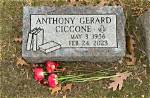 Anthony Ciccone Death and Obituary: How Did Madonna Older Brother Die?