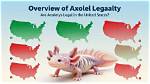 Are Axolotls Legal in Hawaii