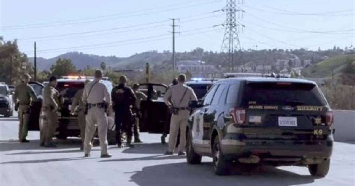 Aria Martin Mugshot and Car Accident: Driver Was Held Under a $25,000 Bail
