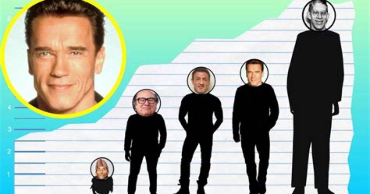 Arnold Schwarzenegger Height: How Tall Is Arnold Schwarzenegger?