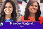 Brian Fitzgerald Bio, Wiki, Age, Wife, News 12, Meteorologist, Salary, and Net Worth