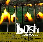 Bush’s Greedy Fly Lyrics