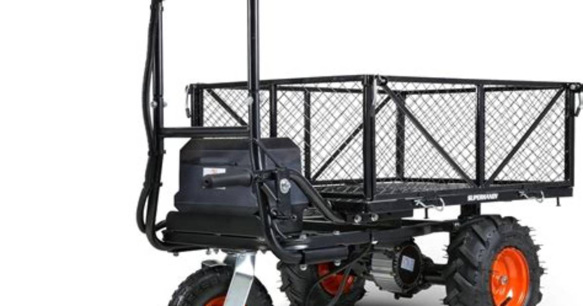 Can Anyone Use the Electric Carts at Walmart