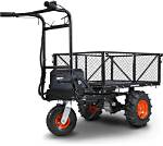 Can Anyone Use the Electric Carts at Walmart