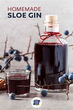 Can Sloe Gin Go Bad