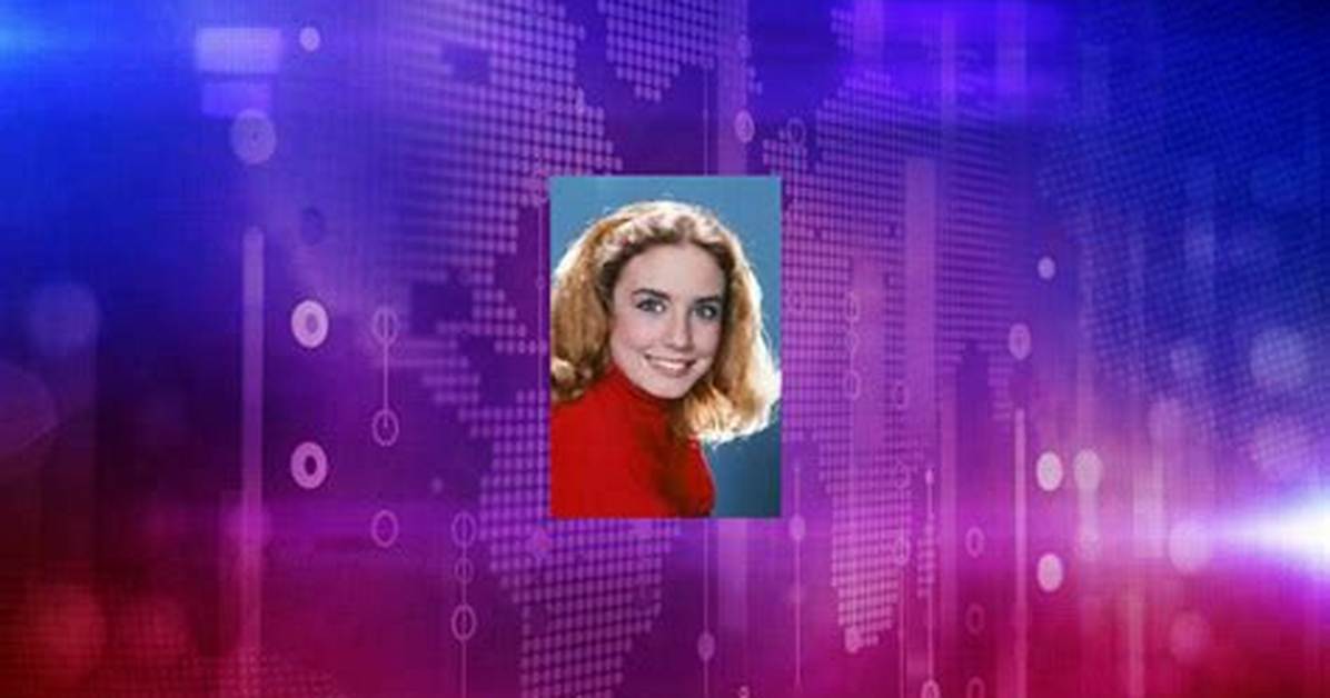 Dana Plato Net Worth, Income, Salary, Earnings, Biography