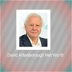 David Heller Net Worth, Income, Salary, Earnings, Biography