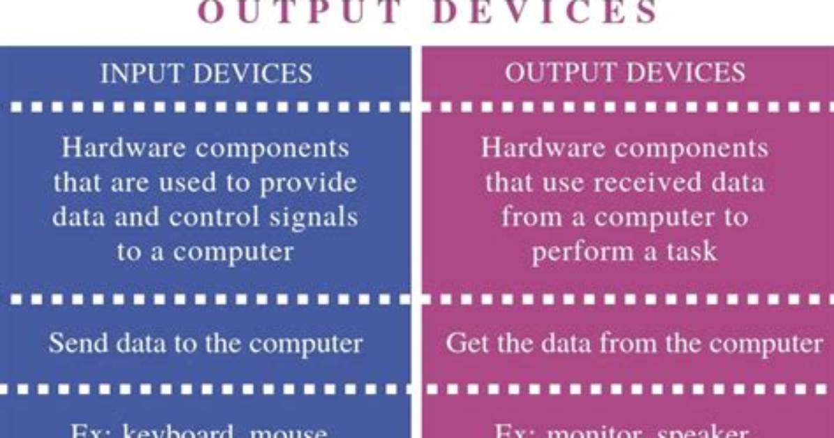 Difference Between Input and Output