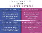Difference Between Input and Output