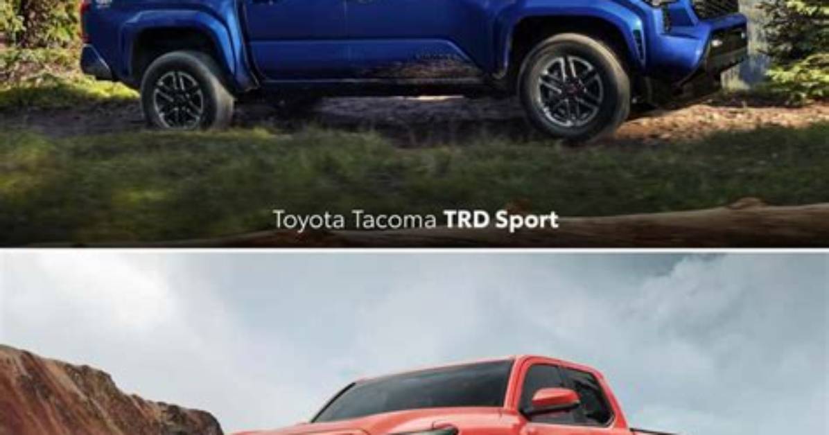 Difference Between Trd Sport and Trd off Road