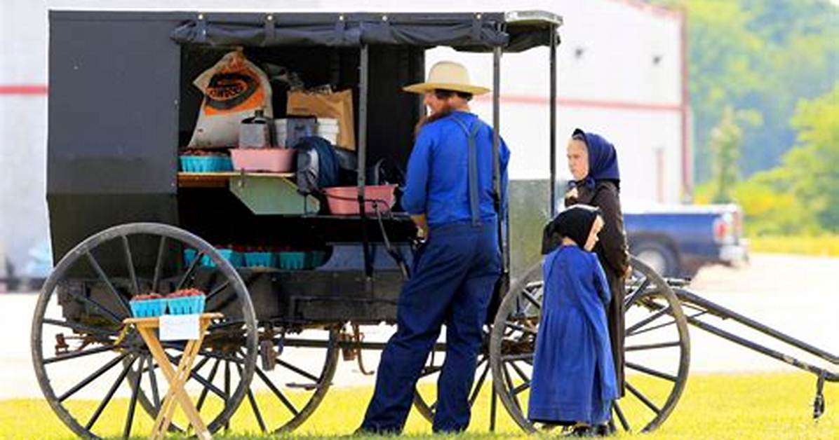 Do the Amish Have a Lot of Puppy Mills