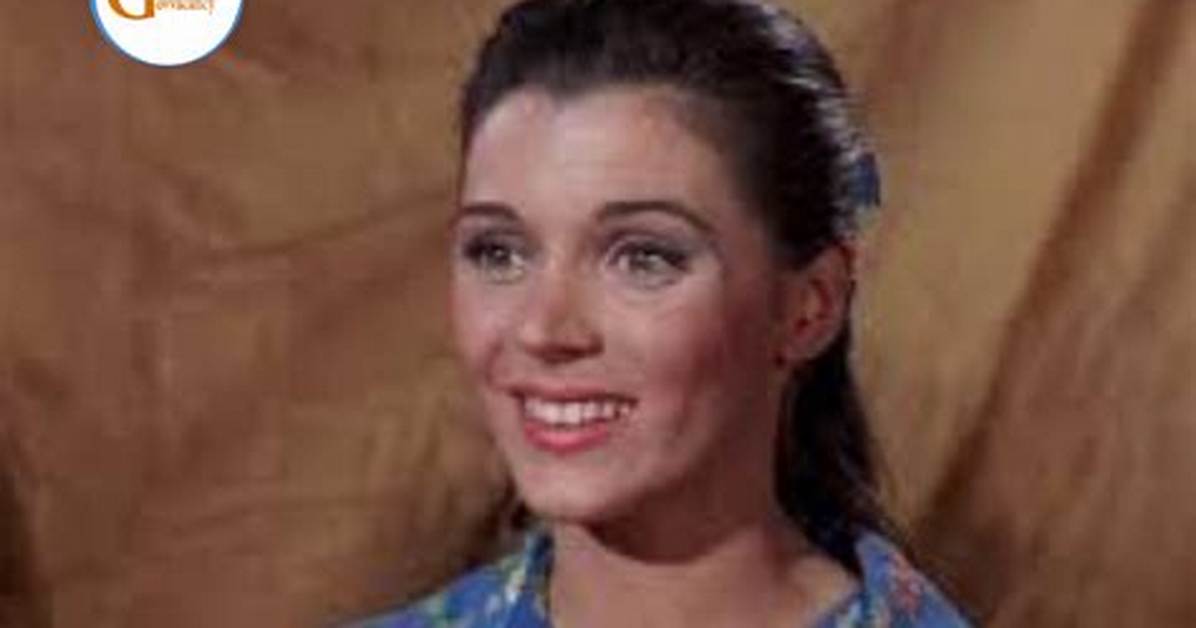 Donna Baccala Wikipedia: Everything to Know About the Actress