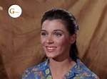 Donna Baccala Wikipedia: Everything to Know About the Actress