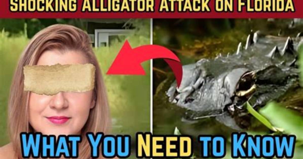 Florida Alligator Attack Video Goes Viral in Wake of Gloria Serge’s Death