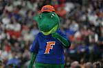 Florida Gators: Who Are Karen Bapp & Steven Bapp? Everything to Know About Colin Castleton Parents
