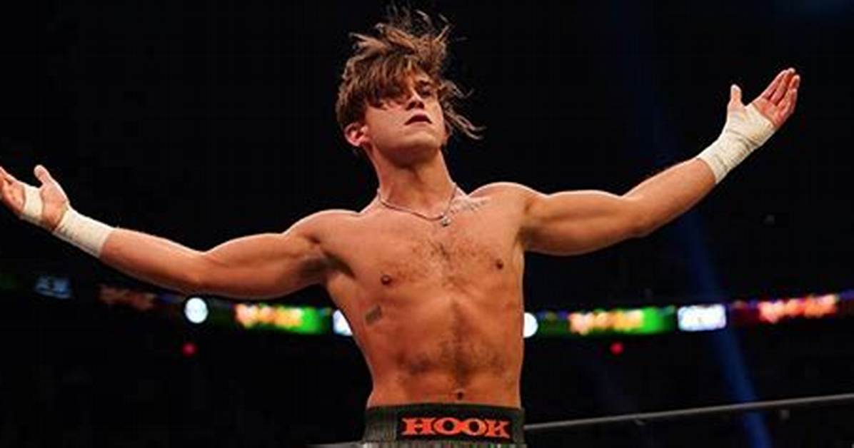 Hook Aew Real Name Is Tyler Senerchia, Taz Real Life Son Age Explored