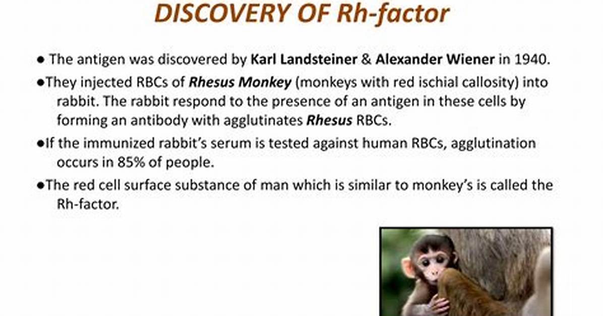 How Did the Discovery of the Rhesus Factor Affect Society