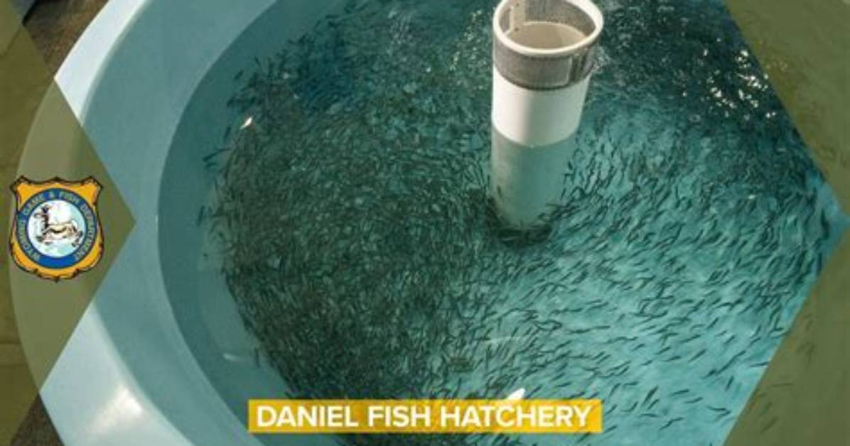 How Do You Activate Fish Hatchery in Skyrim