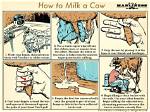 How Do You Milk a Cow in Minecraft