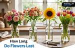 How Long Do Flowers Last in Water Tubes