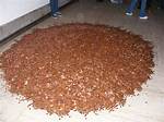 How Much Is 100000 Pennies