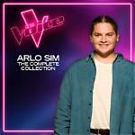 How Old Is Arlo Sim the Voice? Meet the Singer on Instagram