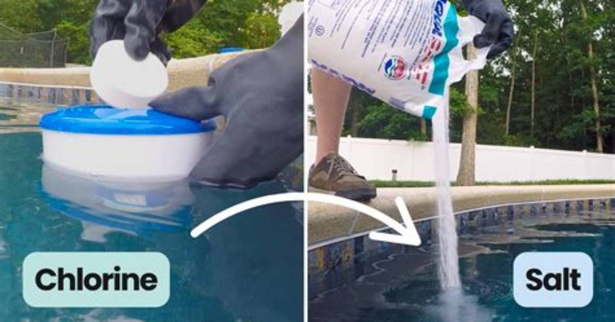 How to Convert Pool to Salt Water