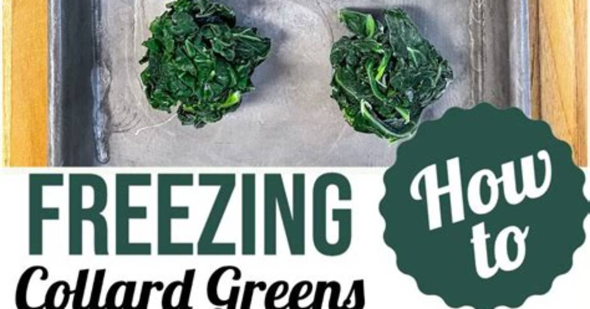 How to Freeze Collard Greens