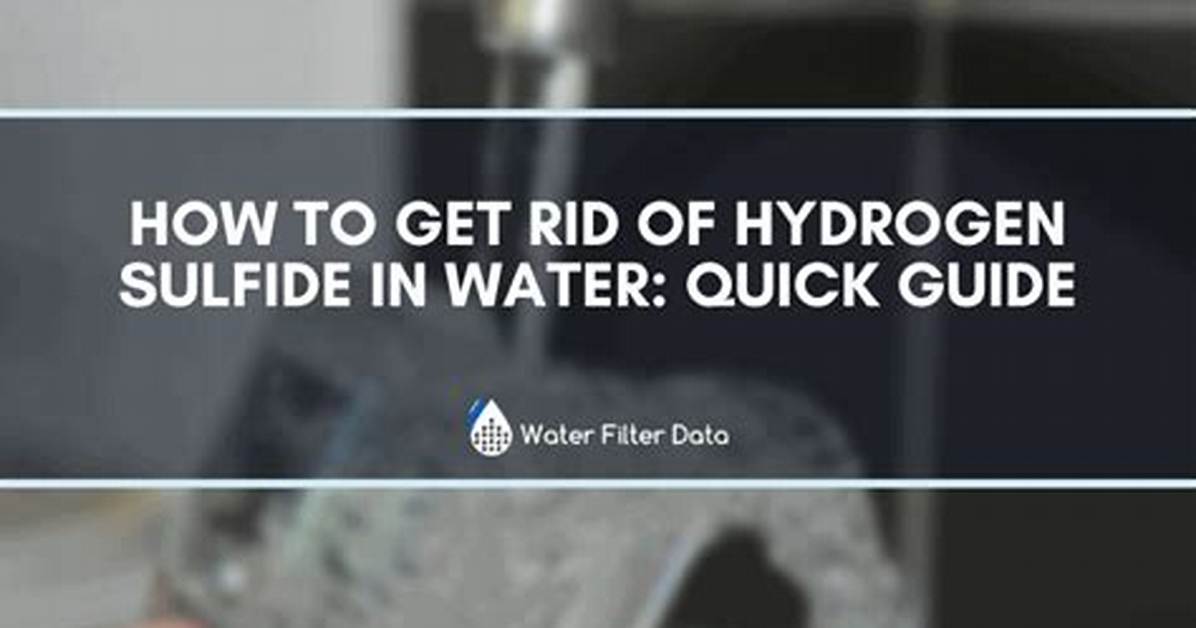 How to Get Rid of Hydrogen Sulfide in Body