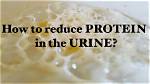 How to Get Rid of Protein in Urine