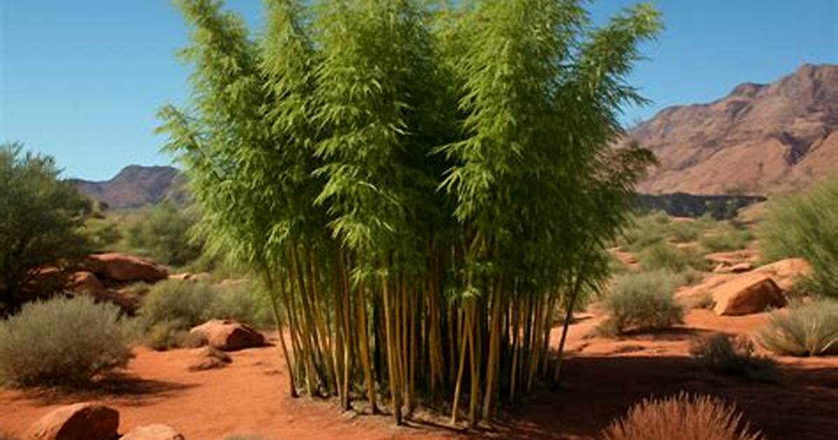 How to Grow Bamboo in Utah