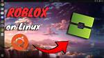How to Install Roblox on Linux