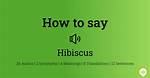 How to Pronounce Hibiscus