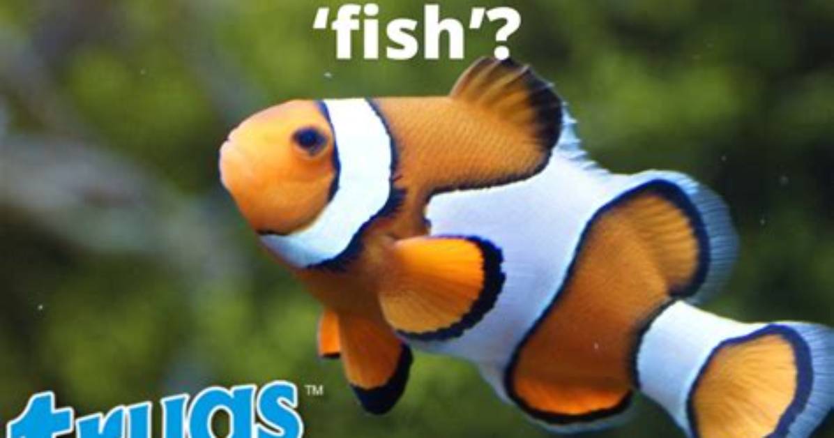 How to Spell Fish