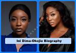 Ini Dima-Okojie Biography: Age, Tribe, Family, Net Worth & Pictures