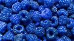 Is Blue Raspberry Real? the Origin of the Flavor Explained