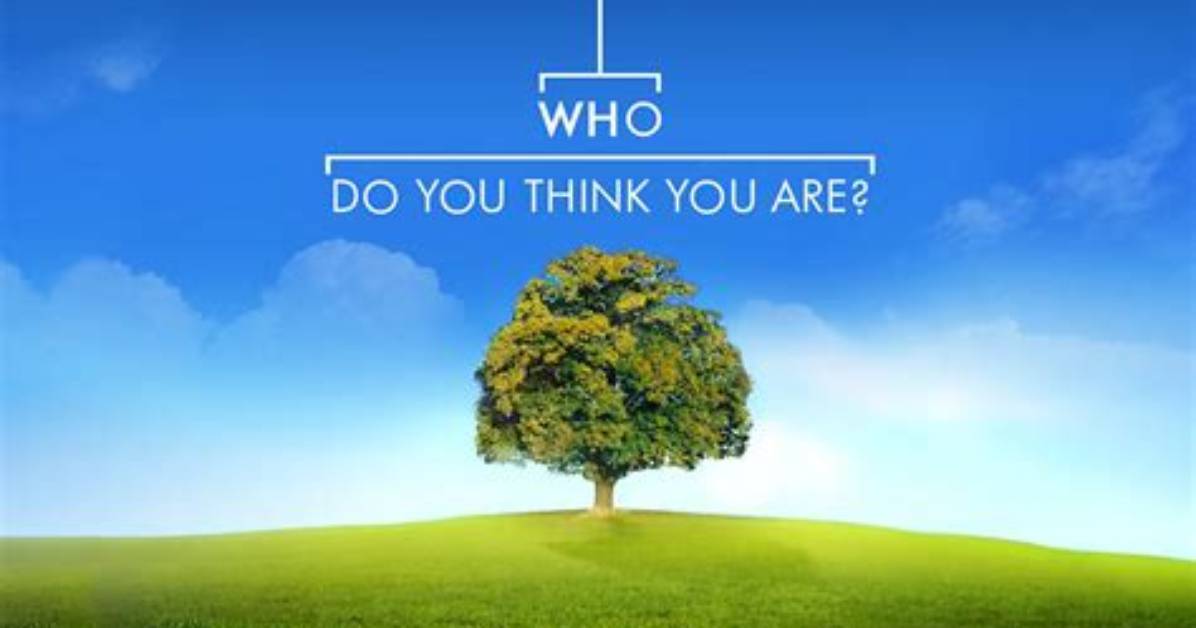 Is the “Who Do You Think You Are? ” Actor David Walliams Gay or Pansexual & Does He Have a Partner?