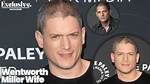 Is Wentworth Miller Gay or Married? Wife, Boyfriend, Brother, Family, Net Worth