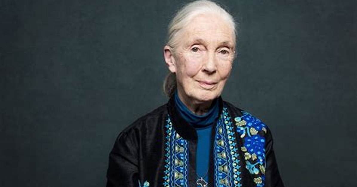 Jane Goodall Wikipedia, Biography, Age, Height, Husband, Net Worth, Children