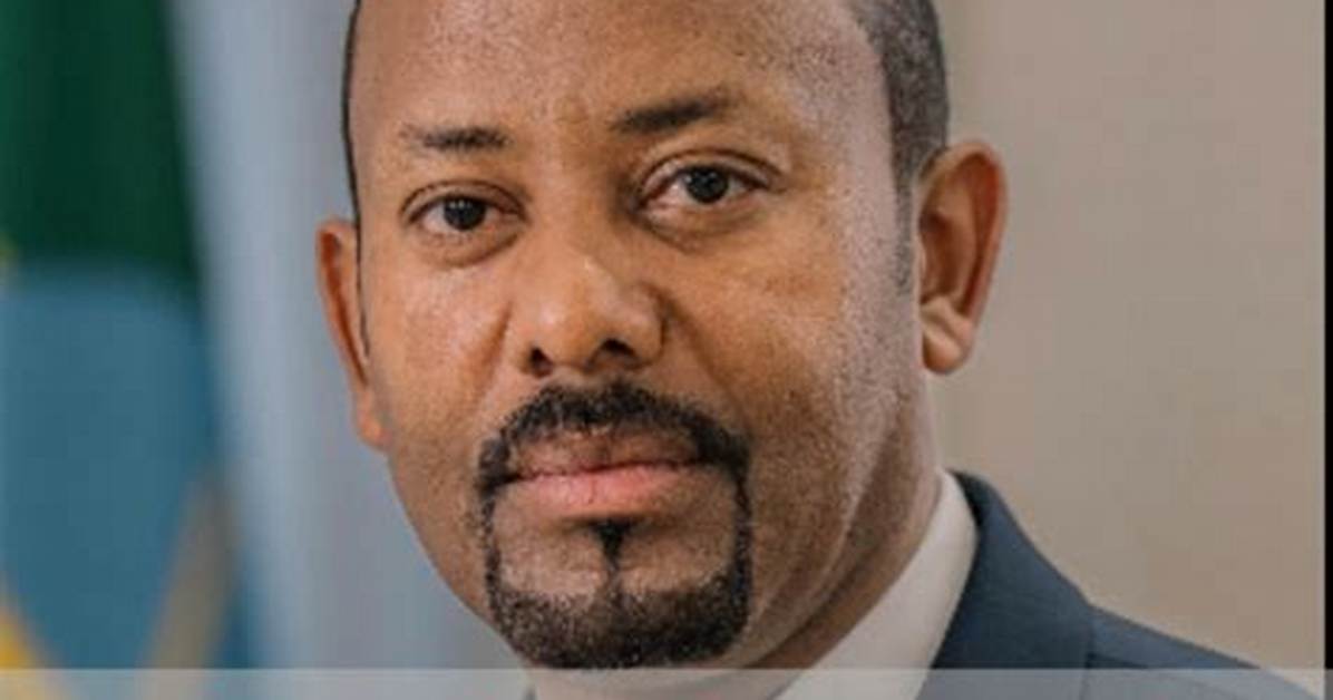 Jawahir Ahmed’s Biography, Net Worth, Fact, Career, Awards and Life Story