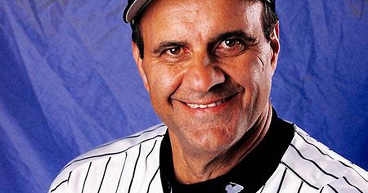 Joe Torre’s Net Worth, Biography, Career, Awards, Fact and Life Story