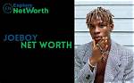 Joeboy Bio-Wiki, Age, Height, Wife, Net Worth, Songs (Baby, Beginning, Call)