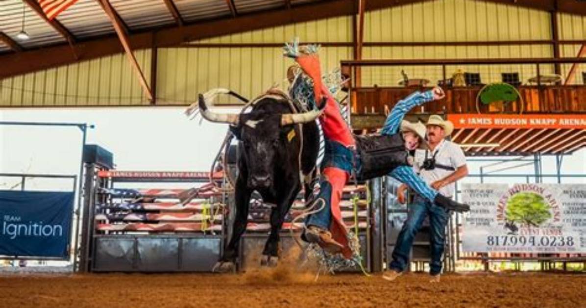 Jorden Halvorsen Bio, Age, Bull Rider, Radiator Ranch, How to Be a Cowboy