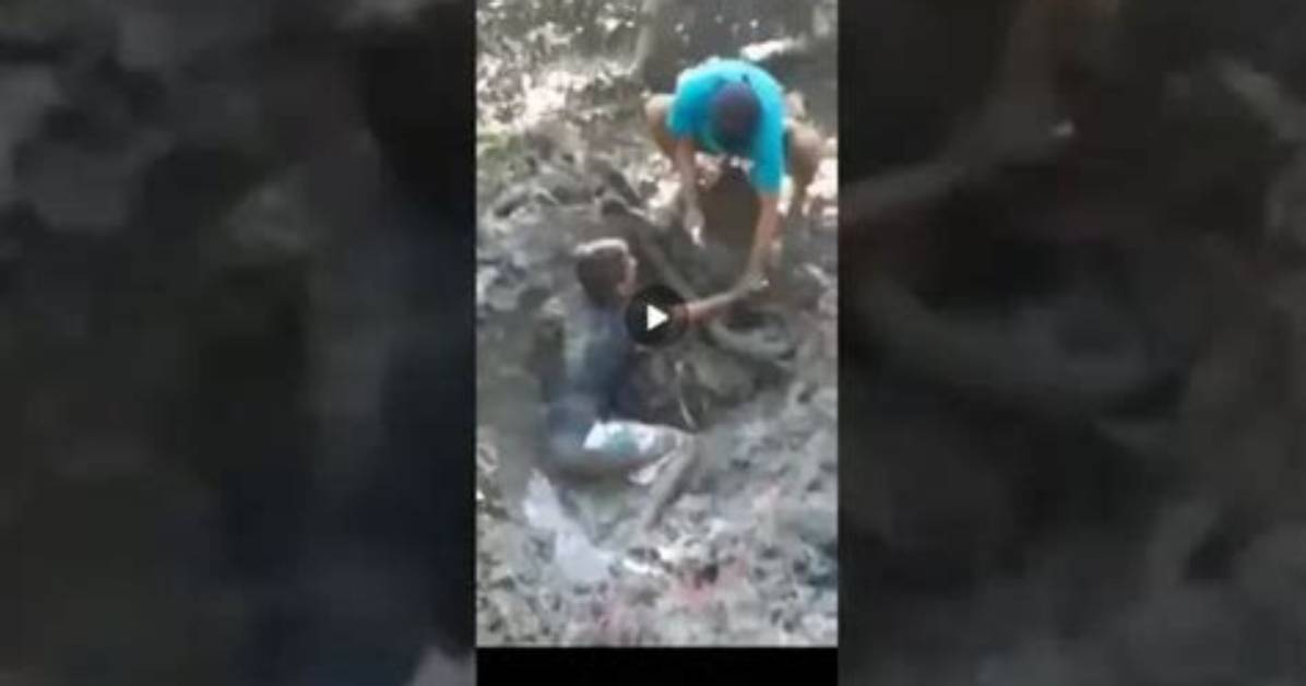 Kartel Pikabu Video on Twitter, Pikabu Ru Story Kartel Video Izleme