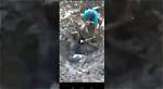 Kartel Pikabu Video on Twitter, Pikabu Ru Story Kartel Video Izleme